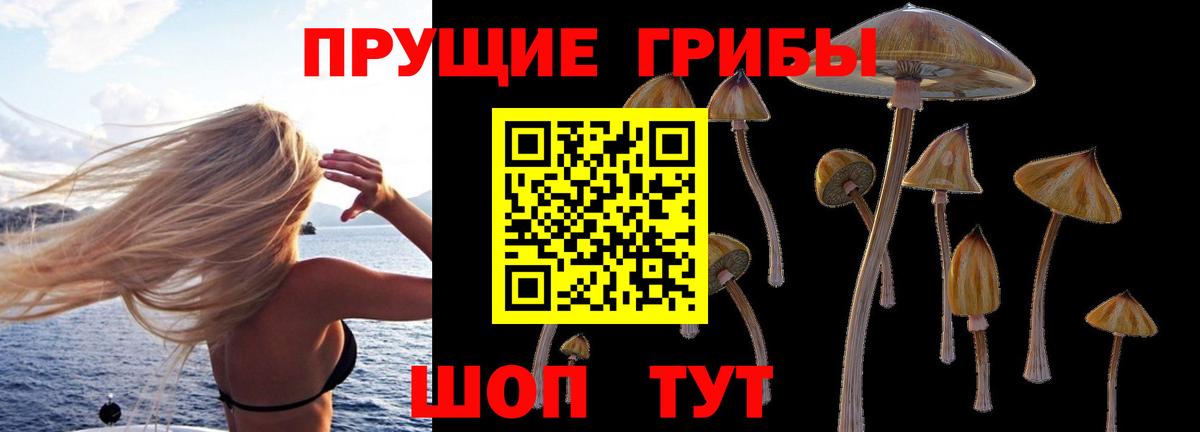 хочу наркоту  Вход с VPN  Галлюциногенные грибы GOLDEN TEACHER  Воронеж  Галлюциногенные грибы мицелий 