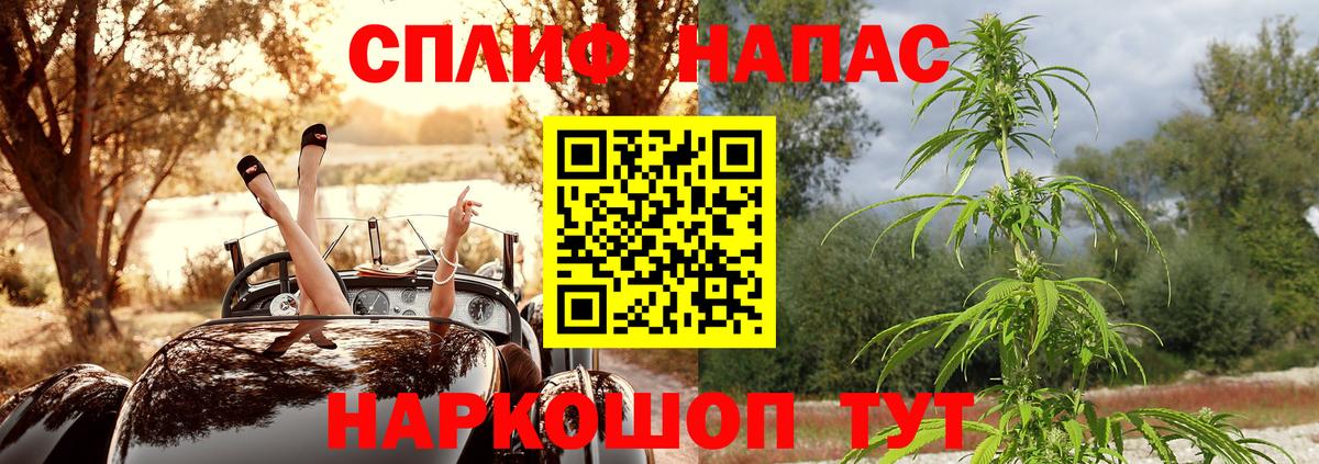 Бошки Шишки VHQ  Конопля AK-47  Воронеж  Вход с VPN  Канабис семена 